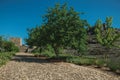 Pathway and wall in a lawn garden with trees at the Marvao Castle