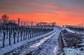 Pathway in winter evening