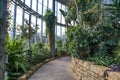 Pathway through a winter garden hot glass house with tropical plants