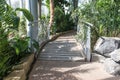 Pathway through a winter garden hot glass house with tropical plants