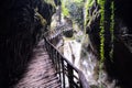 Pathway Wooden Footbridge Royalty Free Stock Photo