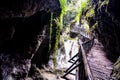 Pathway Wooden Footbridge Royalty Free Stock Photo