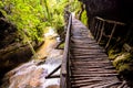 Pathway Wooden Footbridge