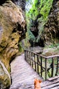 Pathway Wooden Footbridge