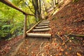 Pathway wooden stairs