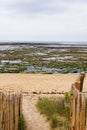 Pathway wooden to access beach in south france isle oleron Royalty Free Stock Photo