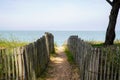 Pathway wooden to access water sand beach in oleron island france Royalty Free Stock Photo