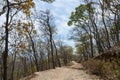 Pathway through the woods in autumn Royalty Free Stock Photo