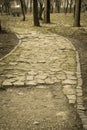 Pathways in the Park are paved with stone Royalty Free Stock Photo