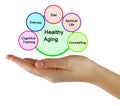 Pathways to Healthy Aging