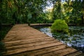 Pathways through a tropical garden Royalty Free Stock Photo