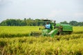 Automatic rice harvester machine is being used to harvest the fields.