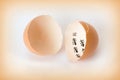 Patience concept with egg shell Royalty Free Stock Photo
