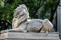 Patience is one of the two lions made of pink Tennessee marble that guard the front door of the New York Public Library. Royalty Free Stock Photo