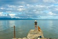 Patience shown by man and dog standing on old pier on Firth of T Royalty Free Stock Photo