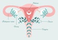 Patient-friendly floral scheme of Healthy uterus and ovarian. Women health, femininity symbol. Uterus in flowers