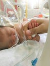 Patient new born baby in incubator. Royalty Free Stock Photo