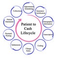 Patient to Cash Life Cycle