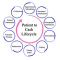 Patient to Cash Life Cycle Royalty Free Stock Photo