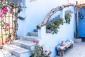 Patio in blue with red and pink flowers.