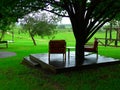 Patio chairs and table under a large, sheltering tree on a rainy day, rural NSW, Australia. Royalty Free Stock Photo