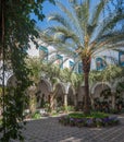 Patio in Cordoba, Andalusia, Spain