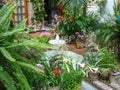 Patio in Cordoba, Andalusia, Spain