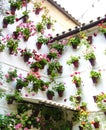 Patio in Cordoba, Andalusia, Spain