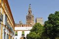 Patio de Banderas and the Giralda Tower, Seville, Andalusia, Spain Royalty Free Stock Photo