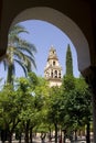 Patio de los Naranjos