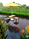 Patio garden after rain