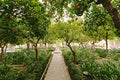 Patio Morisco of the Alcazar in Cordoba Royalty Free Stock Photo