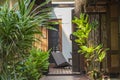 Patio next to the house in tropical garden, Thailand