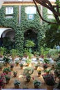 Traditional andalusian patio of Sevilla in Andalusia, Spain Royalty Free Stock Photo