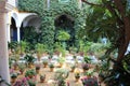 Traditional andalusian patio of Sevilla in Andalusia, Spain Royalty Free Stock Photo