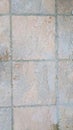 Patio slabs weathered with grouting Royalty Free Stock Photo