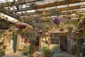 Patio of traditional Chinese house