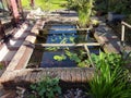 Small garden pond