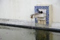 Patio with water pool and dove at Igreja de Sao Vicente de Fora