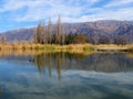 Pato nadando en laguna en Cafayate Royalty Free Stock Photo