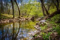 The Patowmack Canal at Great Falls Park, Virginia. Royalty Free Stock Photo