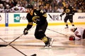 Patrice Bergeron Boston Bruins Royalty Free Stock Photo