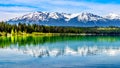 Patricia Lake with reflections of the snow capped peaks of the Rocky Mountains in Jasper National Park Royalty Free Stock Photo
