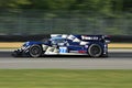 Patrick Dempsey Racing Royalty Free Stock Photo