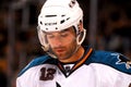 Patrick Marleau San Jose Sharks Royalty Free Stock Photo