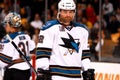 Patrick Marleau San Jose Sharks Royalty Free Stock Photo