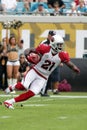 Patrick Peterson Arizona Cardinals Royalty Free Stock Photo