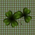 Patrick`s Day. Clover leaf translucent image. Background in the cell in the Irish style. illustration