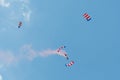 Patriot Parachute Team on display Royalty Free Stock Photo