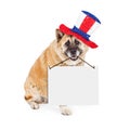 Patriotic American Dog Carrying Blank Sign Royalty Free Stock Photo